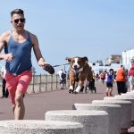 Los mejores paseadores de perros en Barcelona