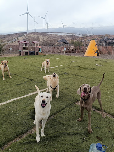 Hotel canino La Pandilla