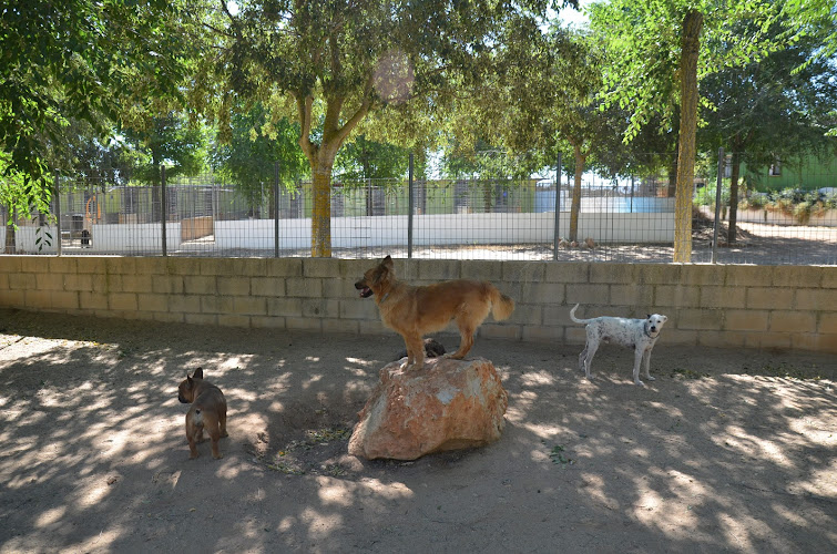 Oficina Granja La Luna Residencia Canina