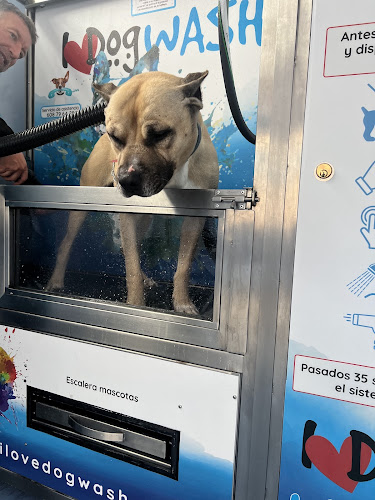 I Love Dog Wash | Burgos