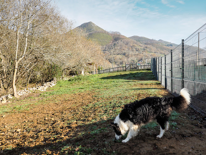 La Torre Canina - Guarderia y Hotel para perros