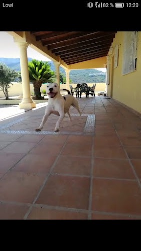 DENICAN - Residencia Canina