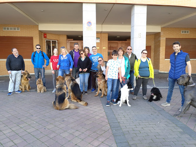 Residencia Canina Madrid Andreas Paddock