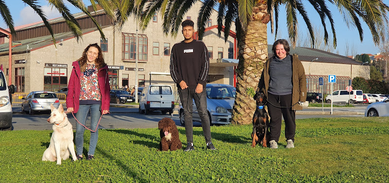 RESIDENCIA Y ESCUELA CANINA EN FERROL ATORR SCHOOL