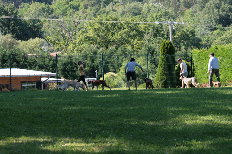 Hotel Canino Aiartza