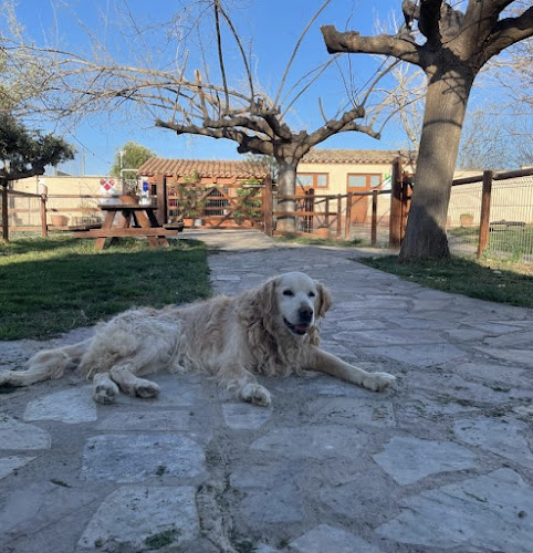 Residència Canina CanPenedès