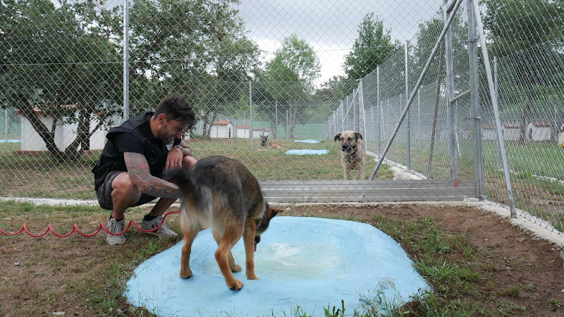 Centro canino A Fresca Ribeira