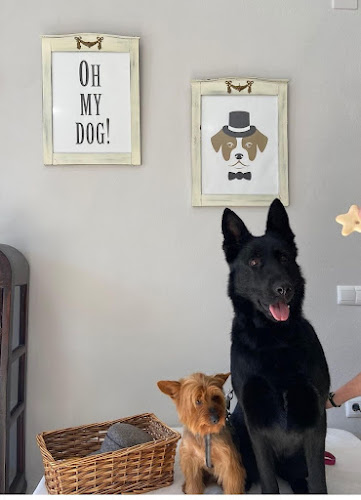 Oh My Dog !