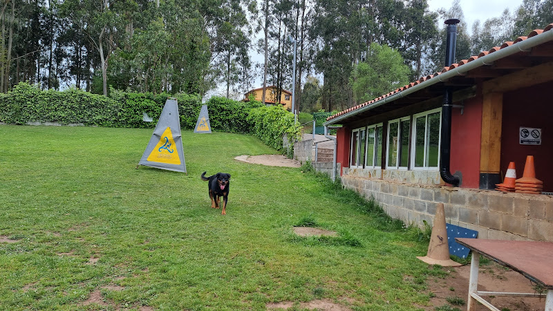 CENTRO CANINO TRISQUEL