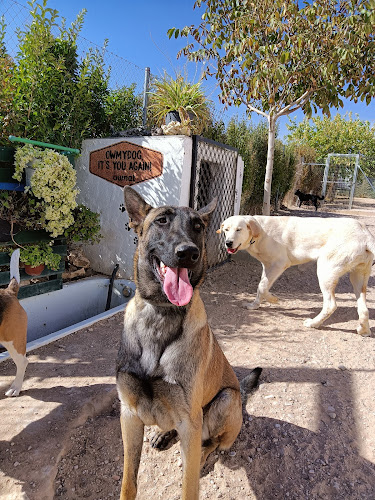 Centro Integral Canino