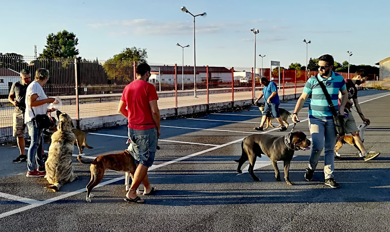 Zona Canina (Adiestramiento y Educador Canino en Ronda)