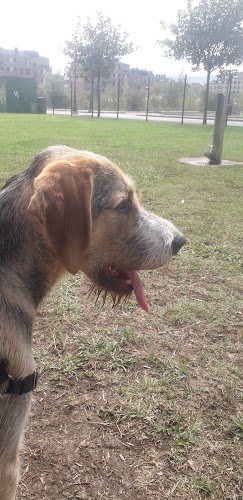 Parque canino