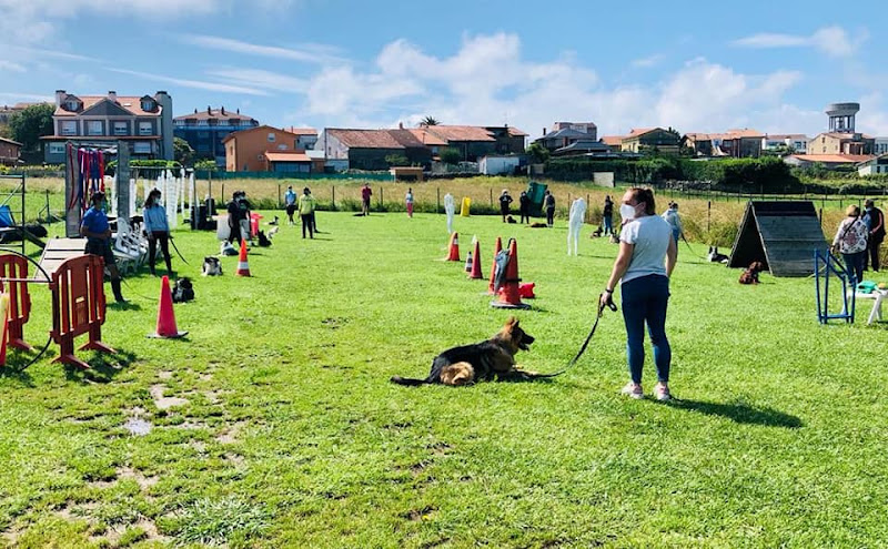 Servicios Caninos