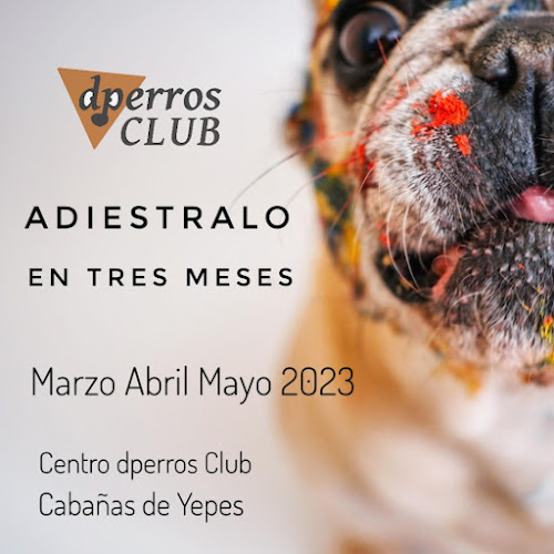 Dperros Club