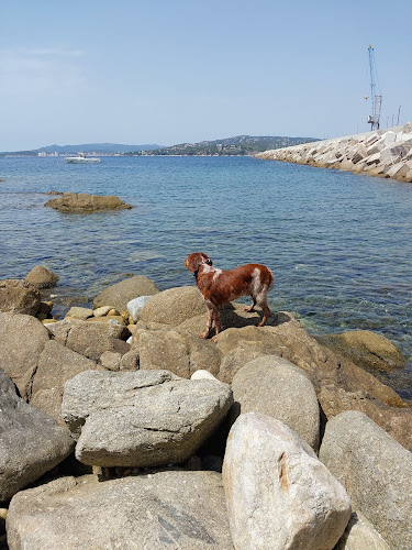 Platja Pere Grau