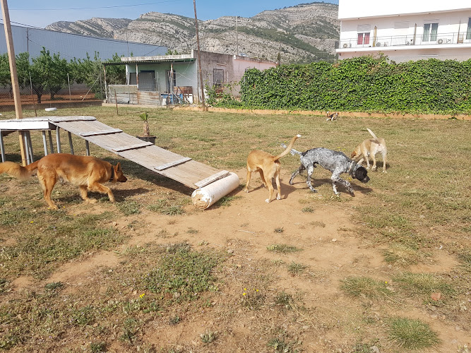 RESIDENCIA ANA Cuidamos de Perros Y Gatos