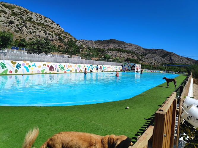 Resort Animal, GOS AVENTURA, Castellon.