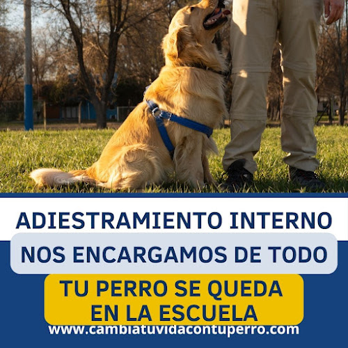 Centro de Adiestramiento y Residencia Canina Educación Canina en Villanueva de la Serena