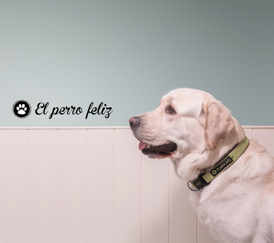 El Perro Feliz España