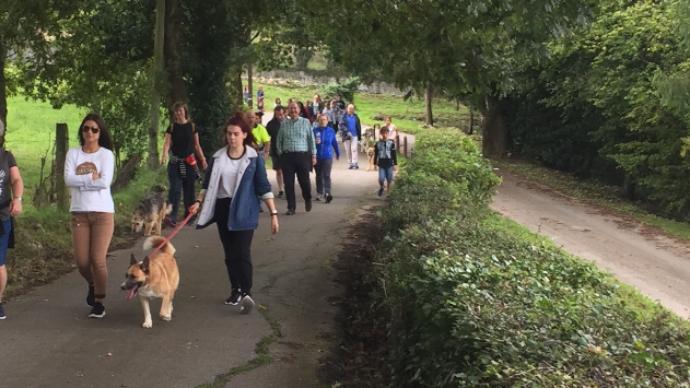 Albergue de Animales de Oviedo