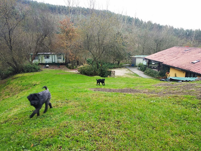 Hotel Canino Tatinejos