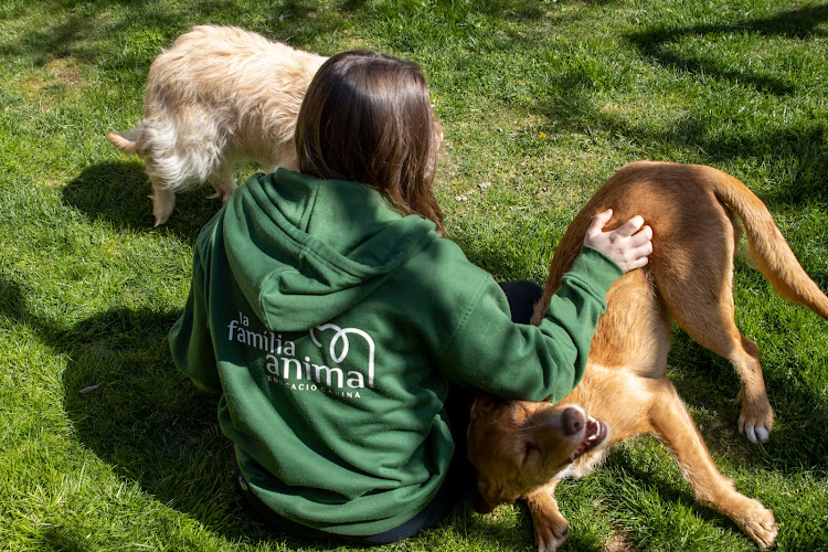 La Família Animal