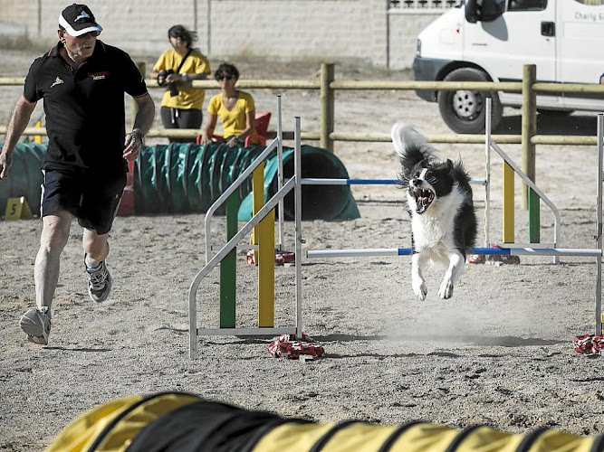 Parque canino María de Huerva