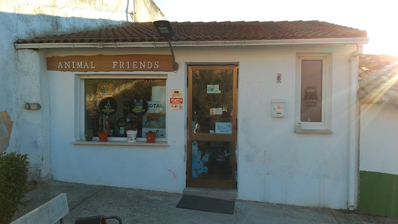 Animal Friends clinica veterinaria