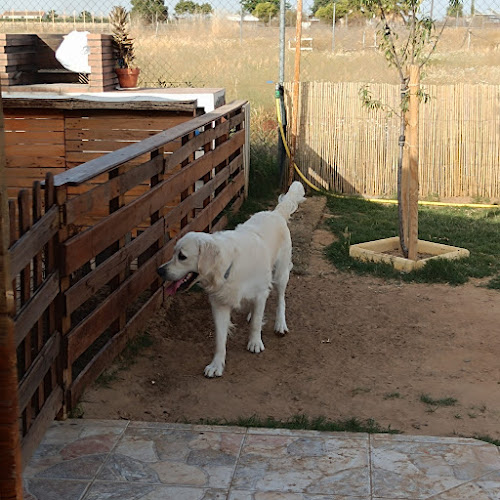 La Casa Del Dogo