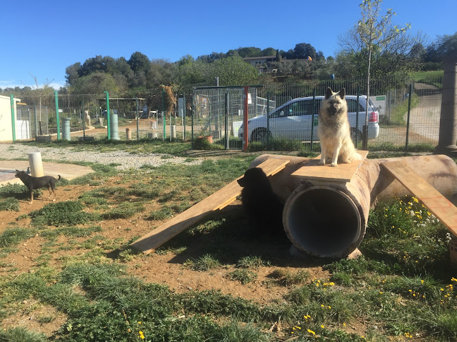 Residencia canina Banyoles Placocan