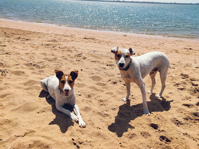 PLAYA CANINA