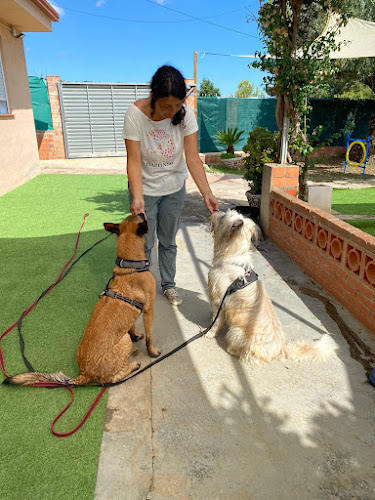 Petjades Educació Canina Castelldefels (Adiestrador Canino)