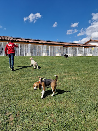 Mendixurbe Hotel Canino