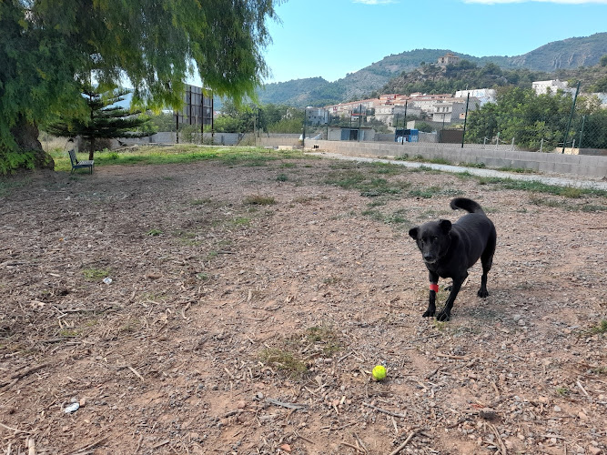 Parque canino Huerto del Baster