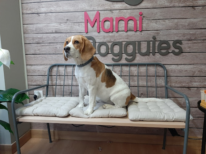 Guardería canina en Madrid | Mami Dogguies  