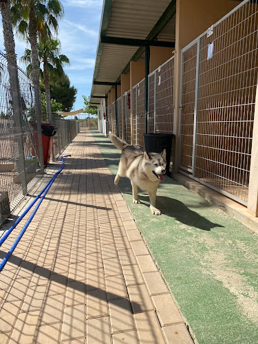 Centrocan, hotel para perros y gatos