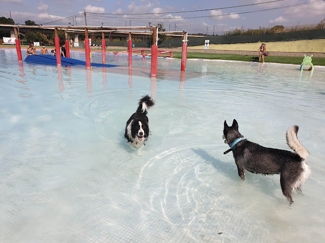 Hotel canino Can Jané