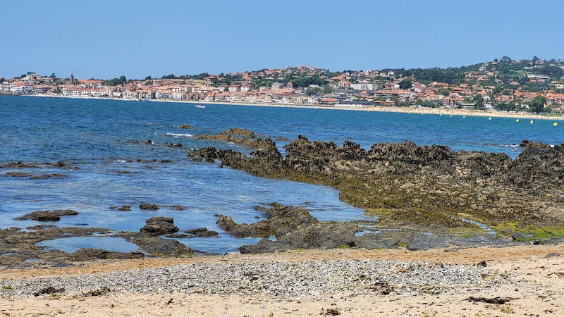 Praia para cans de Nigrán