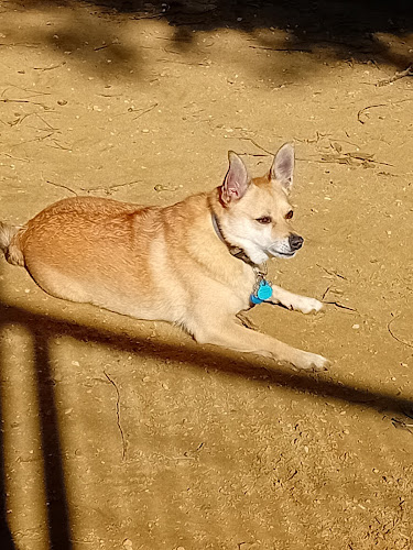 Guardería Reino Animal