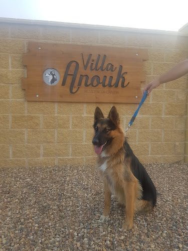 Residencia Canina Villa Anouk