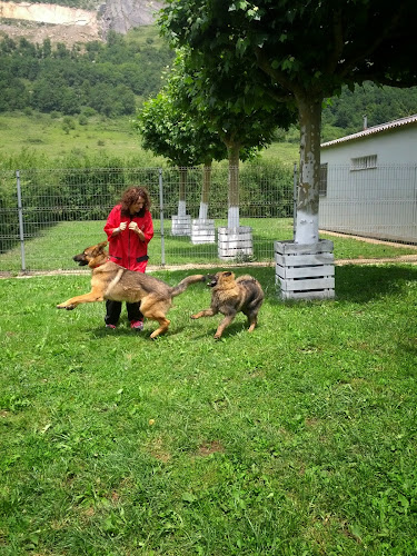 Las mascotas de Ines