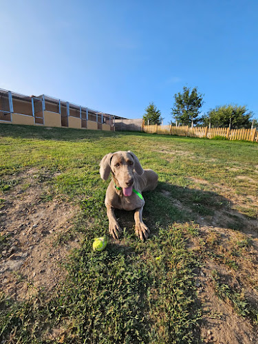 Hotel canino Gardacan