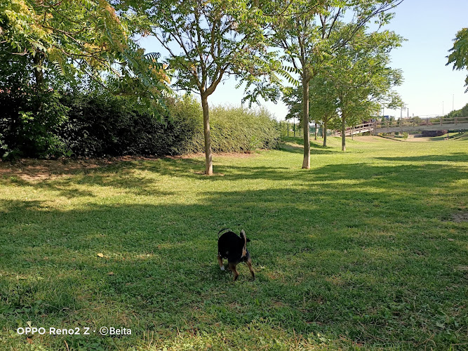 Parque Canino La Vega