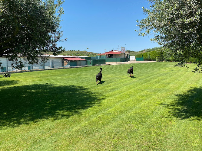 Centro Canino el Olivar