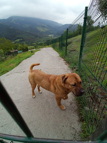 Hotel Canino Gorbeiazpi