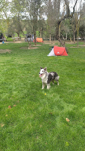 Residencia Canina Los Parejos