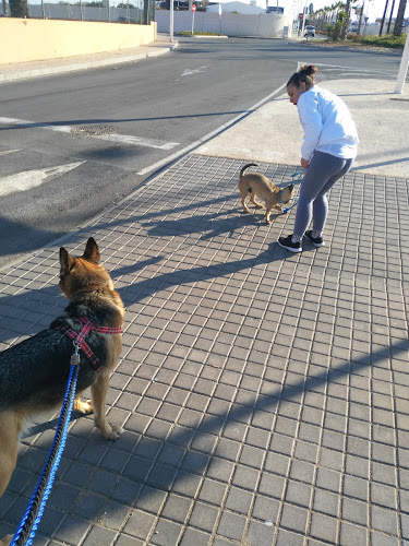 Albergue Municipal de Animales