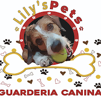 Logo de Lily's Pets Guardería Canina