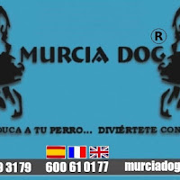 Logo de Murcia Dog