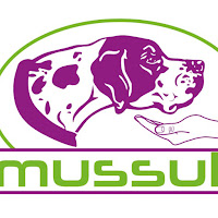 Logo de Mussuk Educación Canina